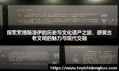 威廉希尔williamhill官方网站